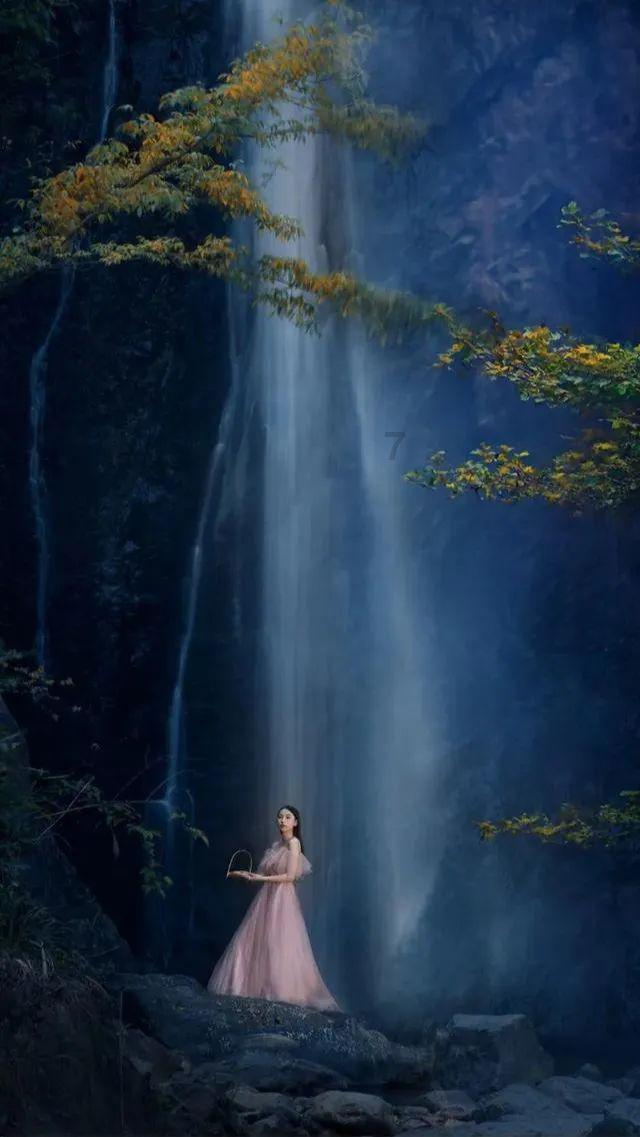 白莲花守则