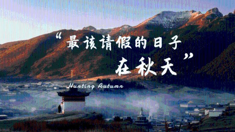 妖尾VS海贼王2.0