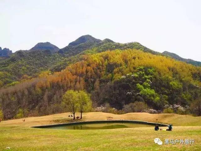 植物大战僵尸3
