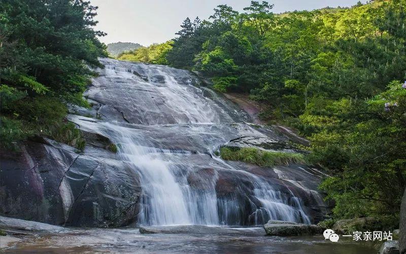 春雨直播app